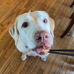 Meet your Posher, Addison